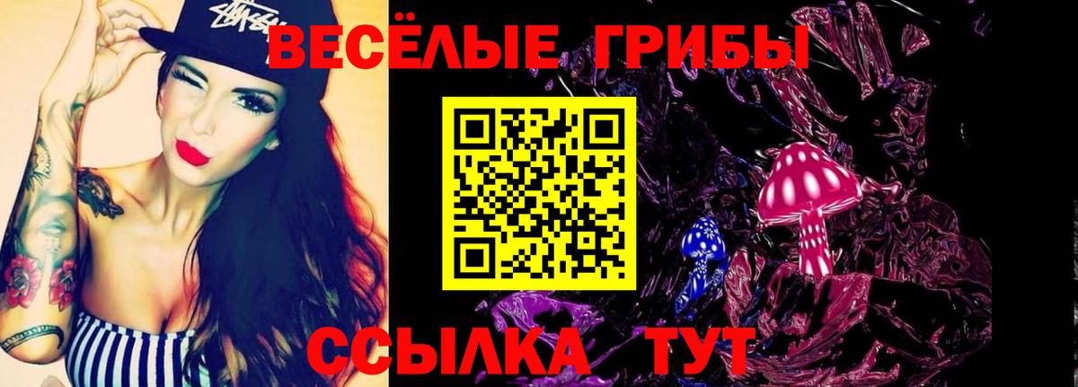 Псилоцибиновые грибы Psilocybe  Вход с VPN  Минеральные Воды  Псилоцибиновые грибы MAGIC MUSHROOMS 