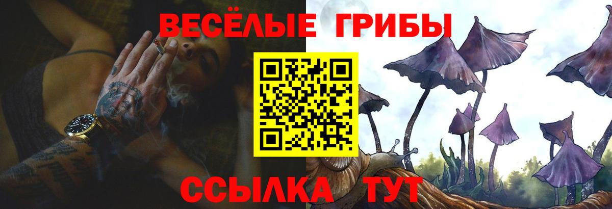 Галлюциногенные грибы MAGIC MUSHROOMS Минеральные Воды